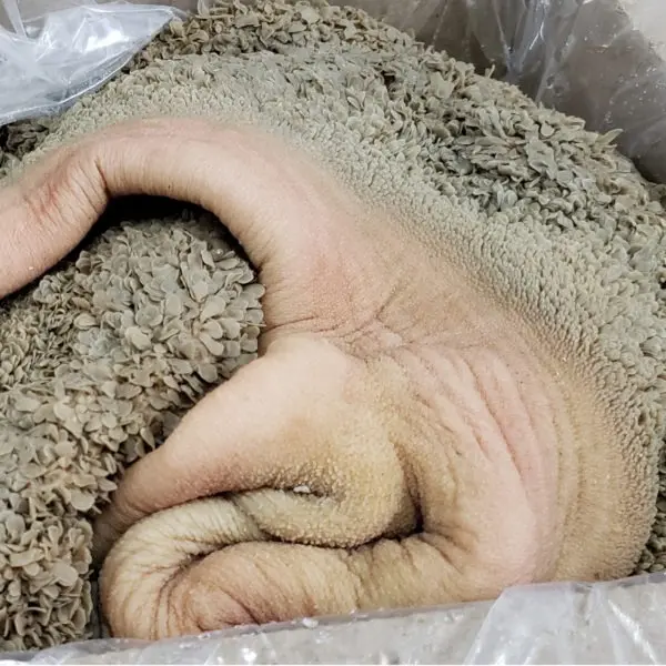 viande-de-mouton-melange-avec-trip-1-kg